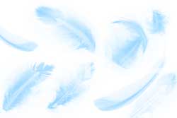 フリー素材　ブルーの羽