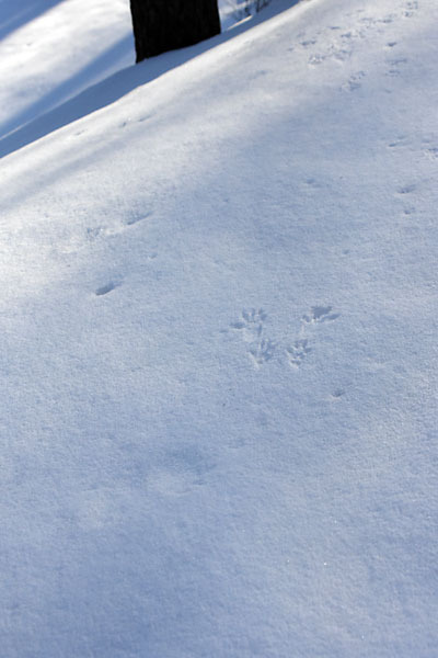 20192021ezorisu0336.jpg