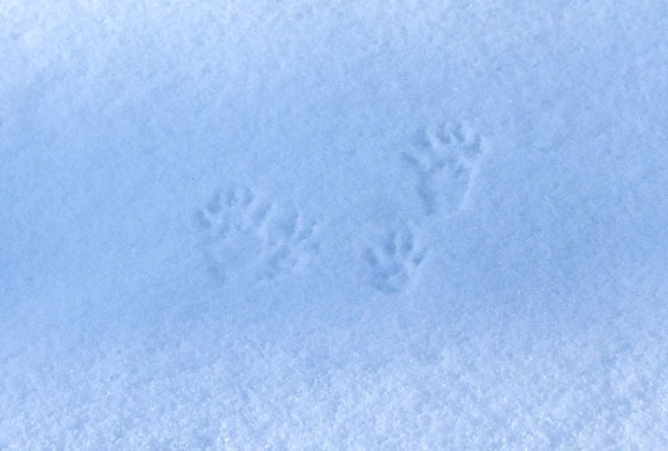 20192021ezorisu0342.jpg