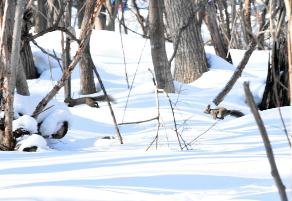 20192021ezorisu0475.jpg