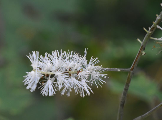DSC_8109.jpg