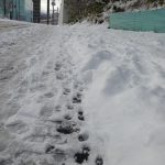 札幌ドカ雪、11月に40センチ