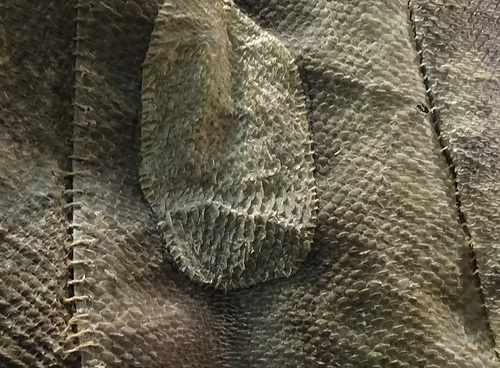 鮭の皮の洋服