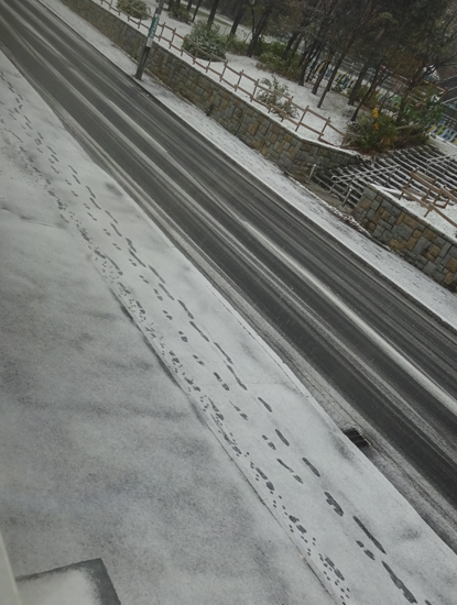 道路に降った雪の足跡