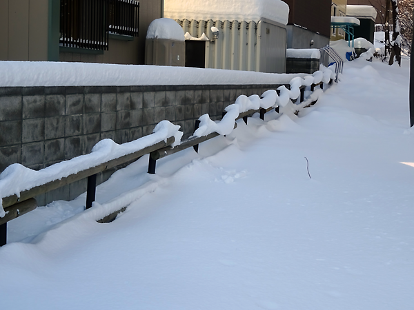 雪の積もった柵