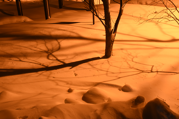 真冬　夜の公園の影