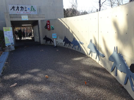 旭山動物園　オオカミの森の案内板