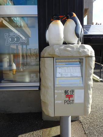 旭山動物園 　ペンギンの郵便ポスト