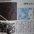 北海道新聞　利尻島にヒグマ上陸