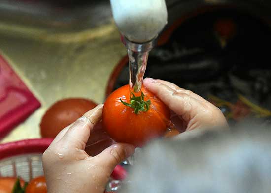 トマト洗い